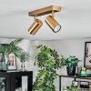 Javel Plafones, Spot techo dorado, 2 luces