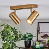Javel Plafones, Spot techo dorado, 2 luces