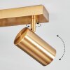 Javel Plafones, Spot techo dorado, 2 luces