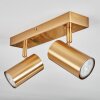 Javel Plafones, Spot techo dorado, 2 luces