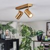 Javel Plafones, Spot techo dorado, 2 luces