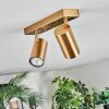 Javel Plafones, Spot techo dorado, 2 luces