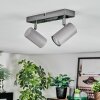 Javel Plafones, Spot techo Cromo, Gris, 2 luces