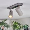 Javel Plafones, Spot techo Cromo, Gris, 2 luces