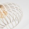Orlin Plafones Beige, 1 luz