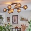 Ripoll Plafones, Luminarias esféricas Ahumado, 8 luces