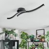 Arlan Plafones LED Negro, 1 luz