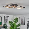 Binor Plafones LED Crudo, Negro, 1 luz