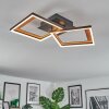 Binor Plafones LED Crudo, Negro, 1 luz