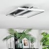 Olian Plafones LED Negro, Plata, 1 luz