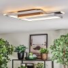 Olian Plafones LED Negro, Plata, 1 luz