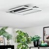 Olian Plafones LED Negro, Plata, 1 luz
