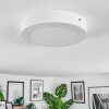 Omaro Plafones, Panel LED Blanca, 1 luz, Cambia de color
