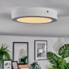 Omaro Plafones, Panel LED Blanca, 1 luz