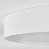 Omaro Plafones, Panel LED Blanca, 1 luz