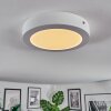 Omaro Plafones, Panel LED Blanca, 1 luz