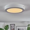 Omaro Plafones, Panel LED Blanca, 1 luz