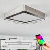 Omaro Plafones, Panel LED Níquel-mate, 1 luz, Cambia de color