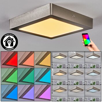 Omaro Plafones, Panel LED Níquel-mate, 1 luz