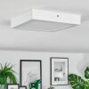 Omaro Plafones, Panel LED Blanca, 1 luz, Cambia de color
