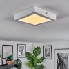 Omaro Plafones, Panel LED Blanca, 1 luz, Cambia de color