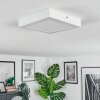Omaro Plafones, Panel LED Blanca, 1 luz, Cambia de color