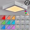 Omaro Plafones, Panel LED Blanca, 1 luz