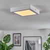 Omaro Plafones, Panel LED Blanca, 1 luz