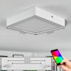 Omaro Plafones, Panel LED Blanca, 1 luz