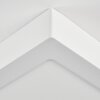 Omaro Plafones, Panel LED Blanca, 1 luz