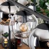 Koyoto Lámparas suspendidas, Luminarias esféricas, Lámparas colgantes Colores ámbar, Cromo, Transparente, Ahumado, 5 luces Koyoto Lámparas suspendidas, Luminarias esféricas, Lámparas colgantes Colores ámbar, Cromo, Transparente, Ahumado, 5 luces