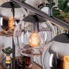 Koyoto Lámparas suspendidas, Luminarias esféricas, Lámparas colgantes Colores ámbar, Cromo, Transparente, Ahumado, 5 luces Koyoto Lámparas suspendidas, Luminarias esféricas, Lámparas colgantes Colores ámbar, Cromo, Transparente, Ahumado, 5 luces