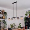Gastor Lámparas suspendidas, Luminarias esféricas, Lámparas colgantes Colores ámbar, Transparente, Ahumado, 5 luces
