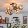 Ripoll Plafones, Luminarias esféricas Colores ámbar, Ahumado, 8 luces
