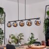 Gastor Lámparas suspendidas, Luminarias esféricas, Lámparas colgantes Cromo, Ahumado, 5 luces