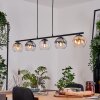 Koyoto Lámparas suspendidas, Luminarias esféricas, Lámparas colgantes Colores ámbar, Transparente, Ahumado, 5 luces