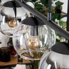 Koyoto Lámparas suspendidas, Luminarias esféricas, Lámparas colgantes Colores ámbar, Transparente, Ahumado, 5 luces