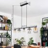 Koyoto Lámparas suspendidas, Luminarias esféricas, Lámparas colgantes Colores ámbar, Transparente, Ahumado, 5 luces