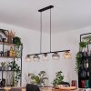 Koyoto Lámparas suspendidas, Luminarias esféricas, Lámparas colgantes Colores ámbar, Transparente, Ahumado, 5 luces