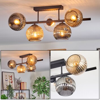 Ripoll Plafones, Luminarias esféricas Colores ámbar, Transparente, Ahumado, 5 luces