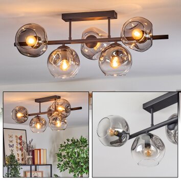 Ripoll Plafones, Luminarias esféricas Transparente, Ahumado, 5 luces