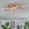 Brina Plafones LED Marrón, 1 luz