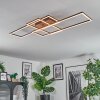 Brina Plafones LED Marrón, 1 luz, Mando a distancia