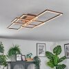 Brina Plafones LED Marrón, 1 luz, Mando a distancia