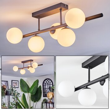 Chehalis Plafones, Luminarias esféricas Blanca, 5 luces