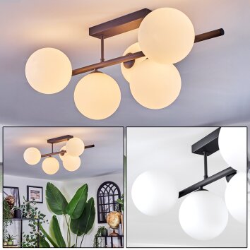 Chehalis Plafones, Luminarias esféricas Blanca, 5 luces