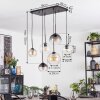 Koyoto Lámparas suspendidas, Luminarias esféricas, Lámparas colgantes Colores ámbar, Transparente, Ahumado, 6 luces