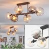 Koyoto Plafones, Luminarias esféricas Colores ámbar, Transparente, Ahumado, 6 luces Koyoto Plafones, Luminarias esféricas Colores ámbar, Transparente, Ahumado, 6 luces