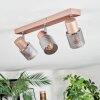 Nelar Plafones, Spot techo Bronce, Cromo, 3 luces