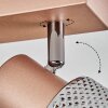Nelar Plafones, Spot techo Bronce, Cromo, 3 luces